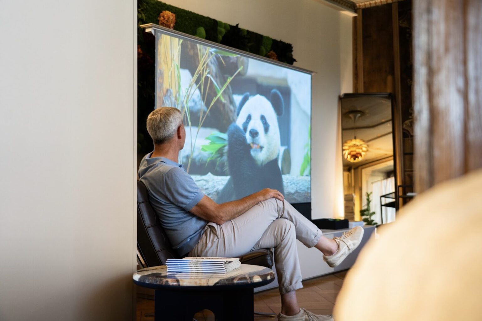 Eine Leinwand mit vivo im Wohnzimmer